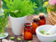 What is the difference between holistic and homeopathic? holistic and homeopathic