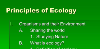 What are the seven principles of ecology? principles of ecology