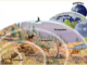 What are the five primary levels of ecology? primary levels of ecology