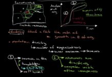 What is population ecology theory? population ecology theory