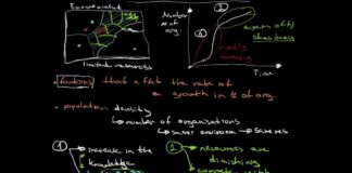 What is population ecology theory? population ecology theory