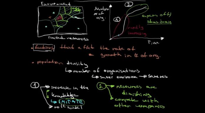 What is population ecology theory? population ecology theory