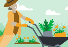 What are permaculture techniques? What are permaculture techniques?