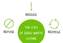 What are the five principles of zero waste? What are the five principles of zero waste?