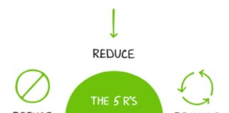 What are the five principles of zero waste? What are the five principles of zero waste?
